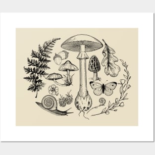 Forest Floor Treasures Posters and Art